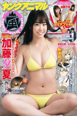 雷安车文